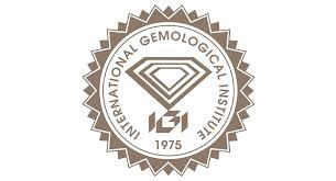 IGI Icon