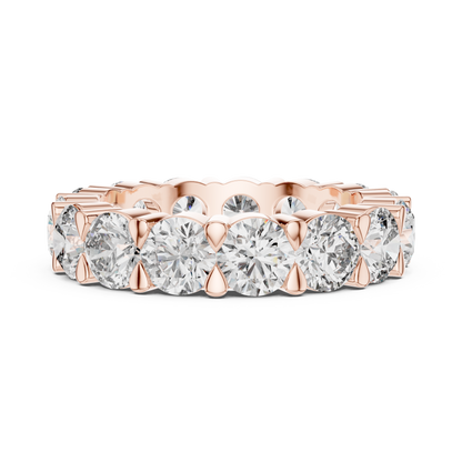 Talon Claw Set Full Eternity Ring