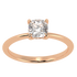 Cushion Cut Hidden Halo Ring