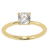 Cushion Cut Hidden Halo Ring